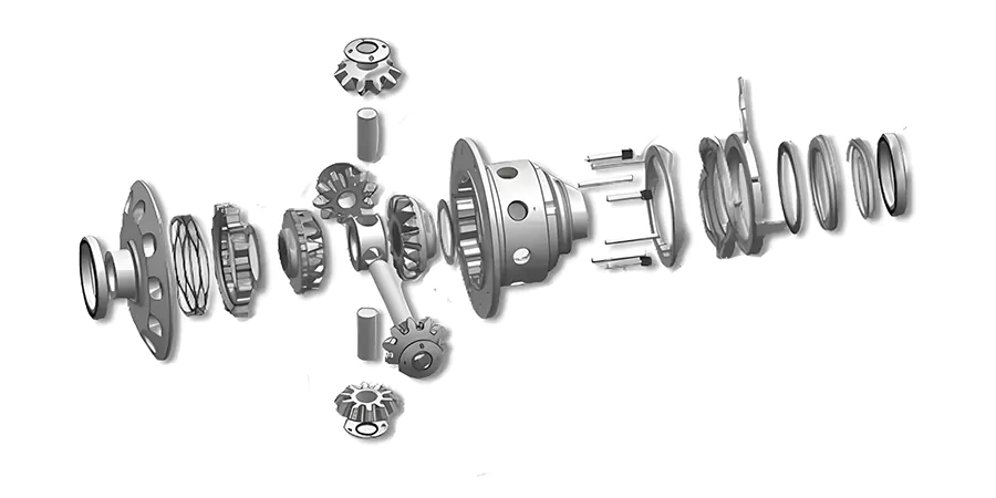 Electric Differential Locker structure